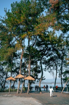  国际油价高位震荡，煤炭替代逻辑强化；千亿煤企股价屡创新高，国内现货价格淡季调整。 股票财经 国际油价高位震荡，煤炭替代逻辑强化；千亿煤企股价屡创新高，国内现货价格淡季调整。 股票财经