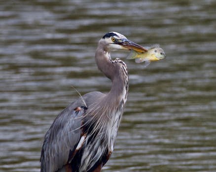 历史唯物主义视角下，铸牢中华民族共同体意识；彰显理论深化与创新路径。