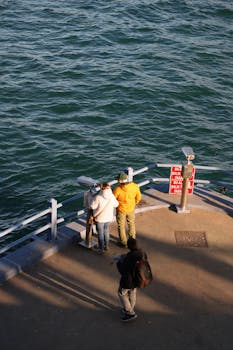 德黑兰备战持久对抗:新型导弹投入实战考验防空体系 新闻