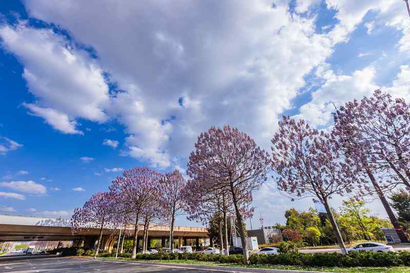 从数据到温度；“十五五”纲要三大指标优化，民生关切更精准。