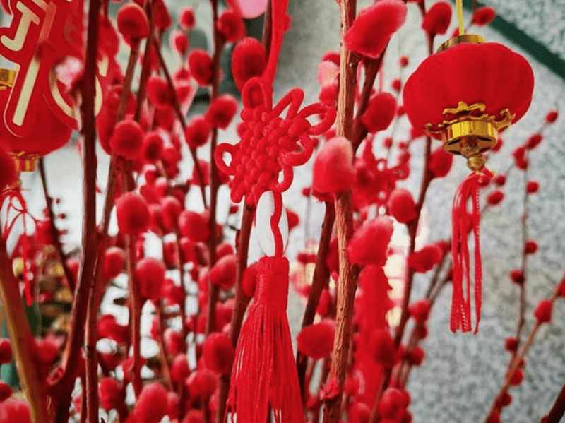  续航焦虑的终结者：一加15T能否打破小屏手机的魔咒？ 手机评测