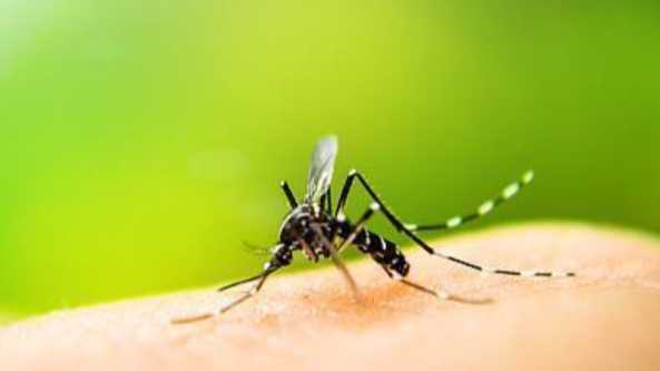  疫情复盘：佛山公共卫生应急响应终止后的冷思考 新闻 疫情复盘：佛山公共卫生应急响应终止后的冷思考 新闻 疫情复盘：佛山公共卫生应急响应终止后的冷思考 新闻