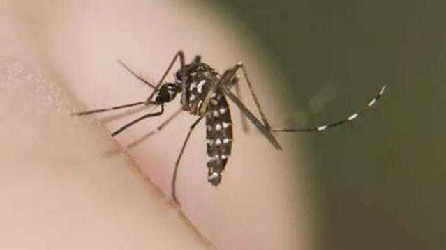  疫情复盘：佛山公共卫生应急响应终止后的冷思考 新闻 疫情复盘：佛山公共卫生应急响应终止后的冷思考 新闻 疫情复盘：佛山公共卫生应急响应终止后的冷思考 新闻