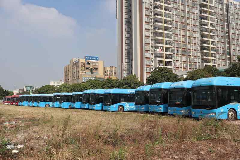  疫情复盘：佛山公共卫生应急响应终止后的冷思考 新闻 疫情复盘：佛山公共卫生应急响应终止后的冷思考 新闻 疫情复盘：佛山公共卫生应急响应终止后的冷思考 新闻