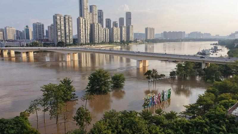  深秋风暴预警：防范超强台风“桦加沙”的实操指南 新闻