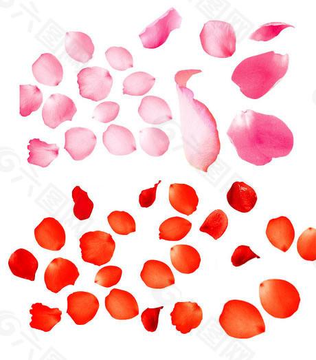 资本转型路在何方?解析主板再融资新规的深层逻辑与未来影响。 股票财经