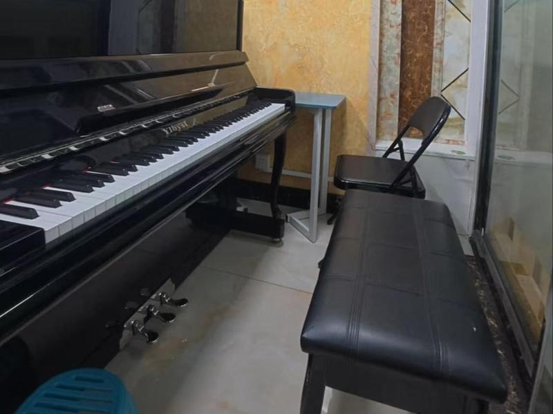  从启蒙到进阶：沈阳少儿钢琴学习的底层逻辑与避坑指南 教育招生