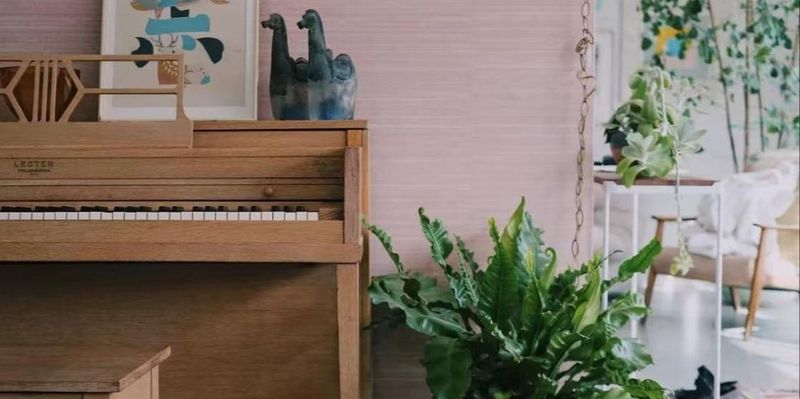  从启蒙到进阶：沈阳少儿钢琴学习的底层逻辑与避坑指南 教育招生