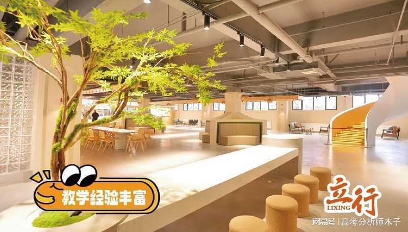  新高考选科底层逻辑：等级赋分制下的博弈策略与暑假决策窗口 教育招生