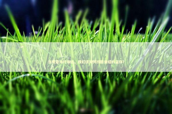 当爱意渐行渐远，我们该如何找回曾经的温存？