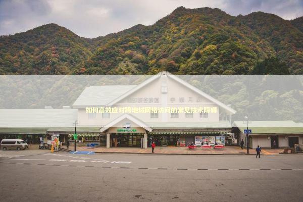 如何高效应对跨地域网络访问的常见技术障碍 IT技术