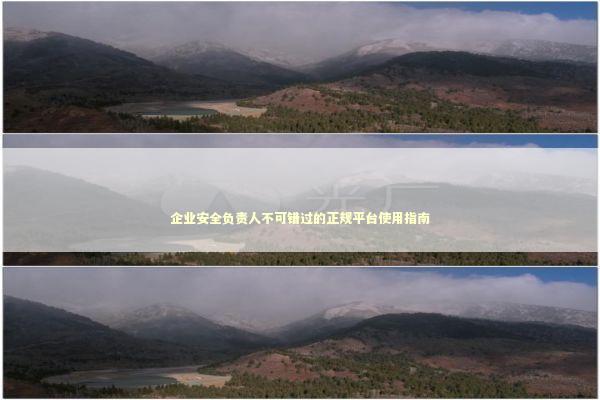 企业安全负责人不可错过的正规平台使用指南 企业服务